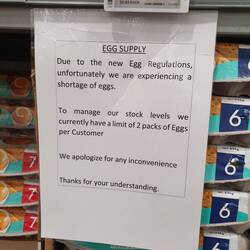 Seit Kurzem dürfen nur Eier von freilaufenden Hühnern verkauft werden.