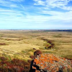 Deswegen nennt man Alberta auch Prärieprovinz.