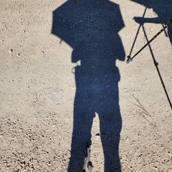 Trying to stay cool in the early afternoon heat