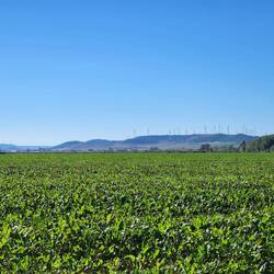 The meseta can be beautiful and boring at the same time