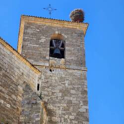 Huge birds nest on top of the Cathedral