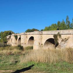 We crossed a lovely bridge.