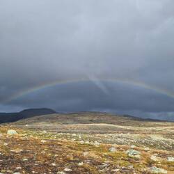 Da unter dem Steinhaufen muss der Schatz liegen!