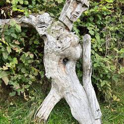 Driftwood Art