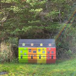 Seen everywhere: garbage boxes at the end of most driveways. Some were painted really fun!