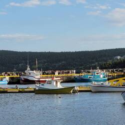Best timing: catching the end of a wedding at Bay Bulls Marina