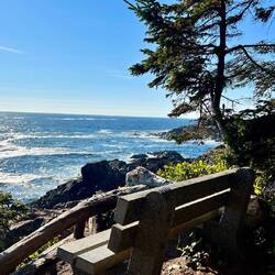 Ucluelet - Viele Sitzgelegenheiten mit Blick aufs Meer