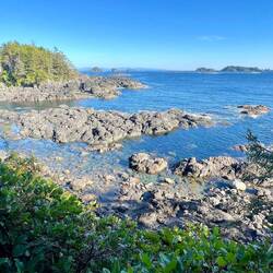 Ucluelet - Küste