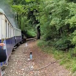 Going through the beautiful forests surrounding Budapest