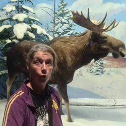 Ein Moose hinter mir