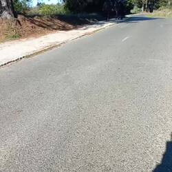 These are police on horseback.