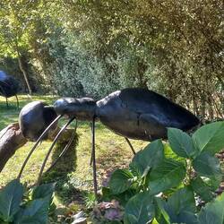 We saw this giant ant sculpture last time we were here.