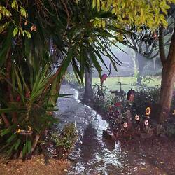 on our way to our outside table at the restaurant