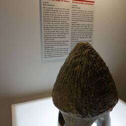 Brokenship through circumstance and cancer. He dreamt it before it happened ☹️