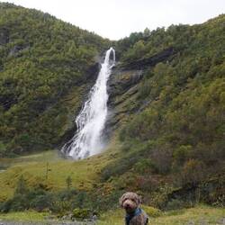 Fröhlicher Wanderer vorm Avdalsfossen