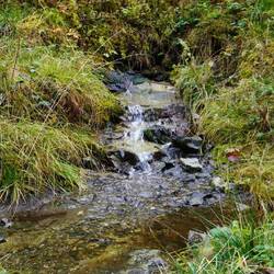 Kleine Bachläufe am Wegesrand