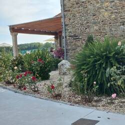 A lovely garden in one of the private Albergues.