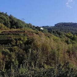 Bilderbuchwetter in Bilderbuchlandschaft