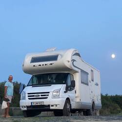 Molly im Mondenschein 🌖