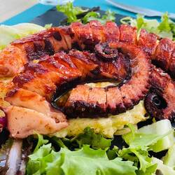 Gegrillter Octopus