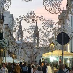 😇😆😇😆😇😆😇