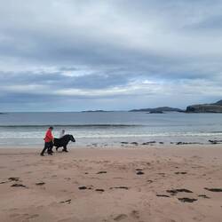 When it couldn't get better a pony showed up. So amazing.