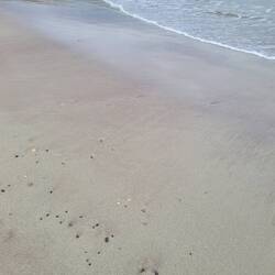 The sand was white above the high water mark, then pink and where the water was lapping green. Wow!