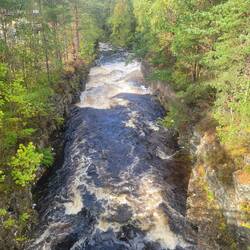 We did a short hike to the Falls of Measach. Beautiful rainforest with falls and a gorge