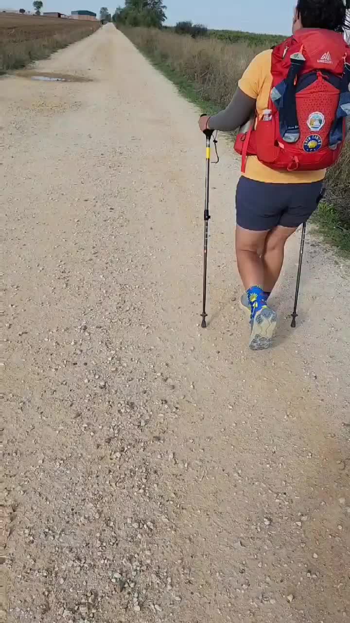 Just casual video of the day