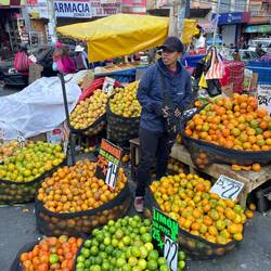 Unsere geliebten Mandarinen