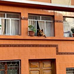 Ob er wohl Rentner ist 🤭🙈