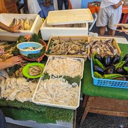 Fischauswahl zum Mittagessen