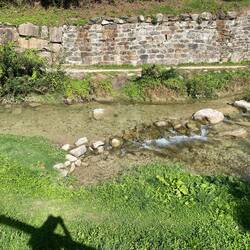 Kristallklares Wasser in einem Zulauf zum See
