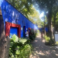 The gardens of the house