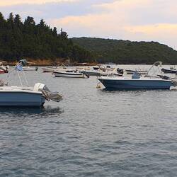 DIE BUCHT VON SYVOTA