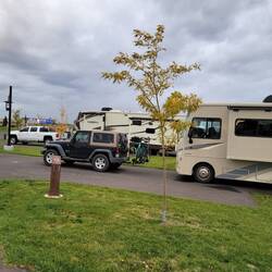 The trees have a way to go, but nicely spaced sites