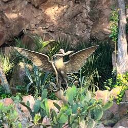 In mythology where an eagle with a snake is seen is where Mexico would be founded