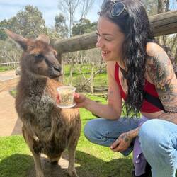 We went to a sanctuary and talked to animals