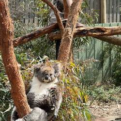 This guy was high as