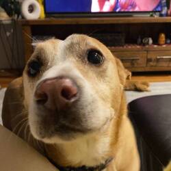 Ernie❤️ We went through a lot together in two weeks 😀