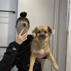 I did house/dog sitting around Aus and Baxter was my first mate