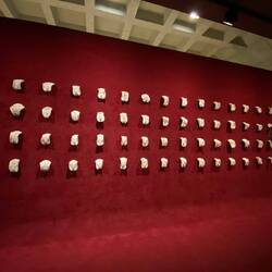 Literally a wall of vaginas😂😂