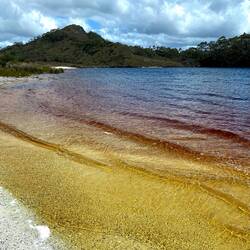 Never have i ever seen something like this before