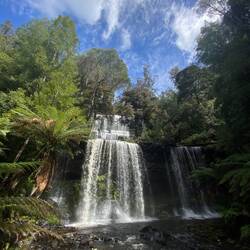 📍Mount Field National Park