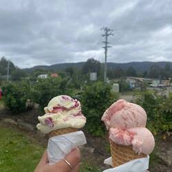 Q and I did a West Coast roadtrip and it was the most fun and wholesome experience