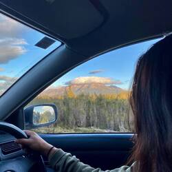 So we literally left Queenstown and drove up to Strahan