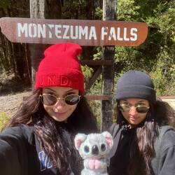 Then got up and left the room as soon as we both woke up hungover and hiked to Montezuma Falls!