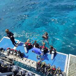 Tauchen im Great Barrier Reef
