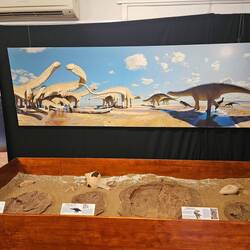 The Broome museum provided a great insight in to Pearling, dinosaur history and multiculturalism