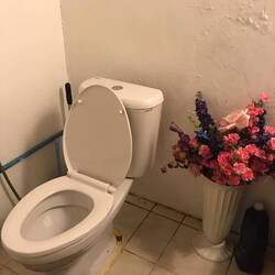 "Das erste schöne Klo in Thailand!"